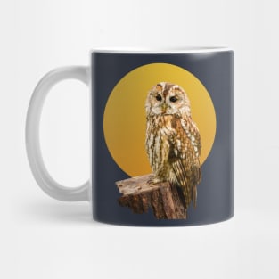 Tawny Owl Mug